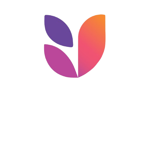 Vizora Logo